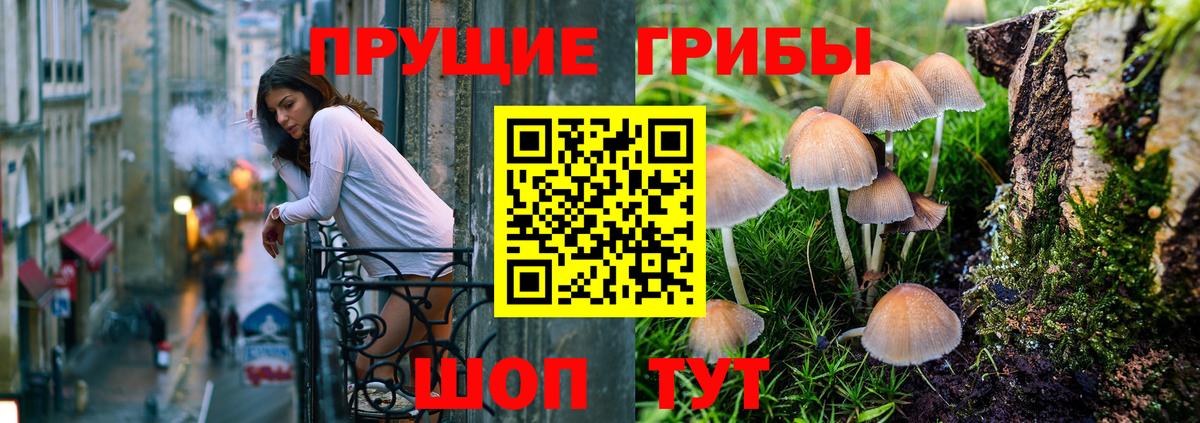 где продают   Галлюциногенные грибы Magic Shrooms  Вход с VPN  Янаул 